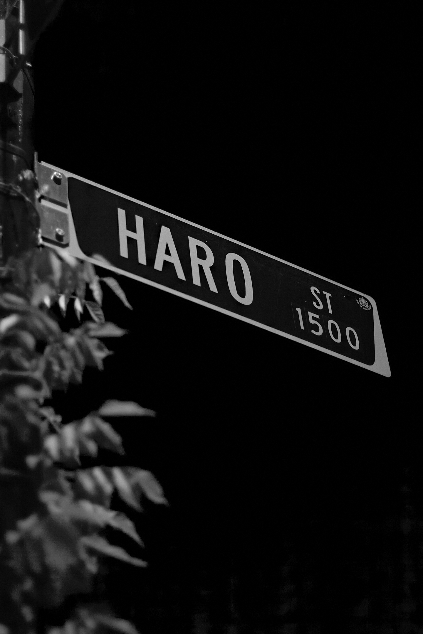 Haro Street 1500
