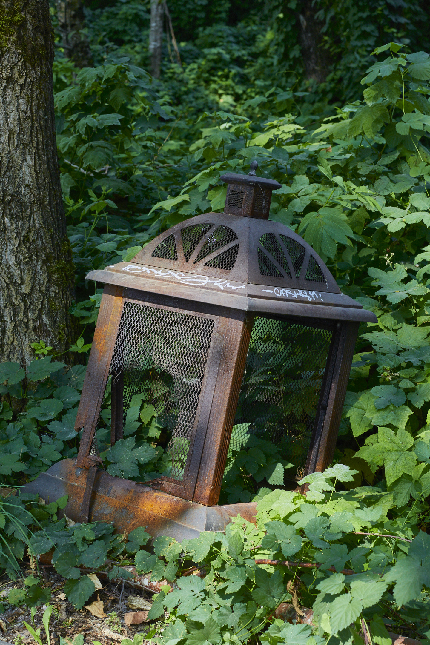 Lantern
