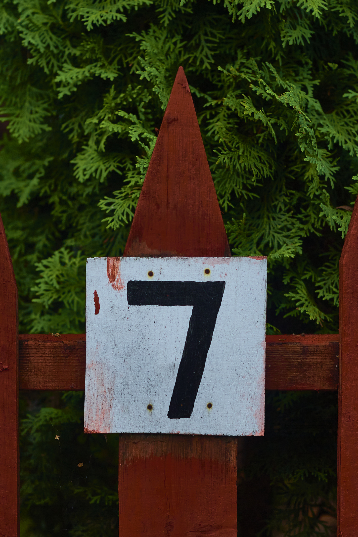 Seven