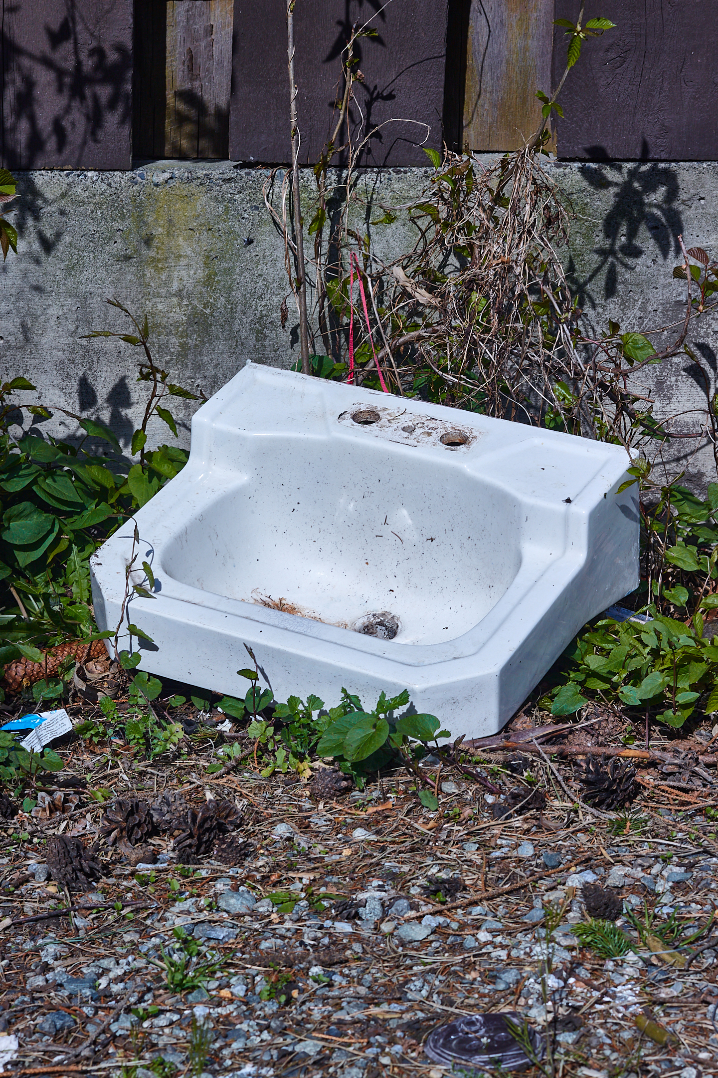 Sink