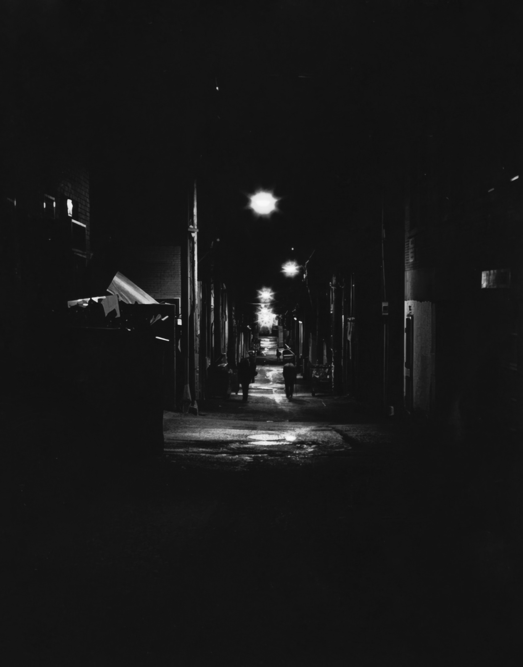 The Back Alley