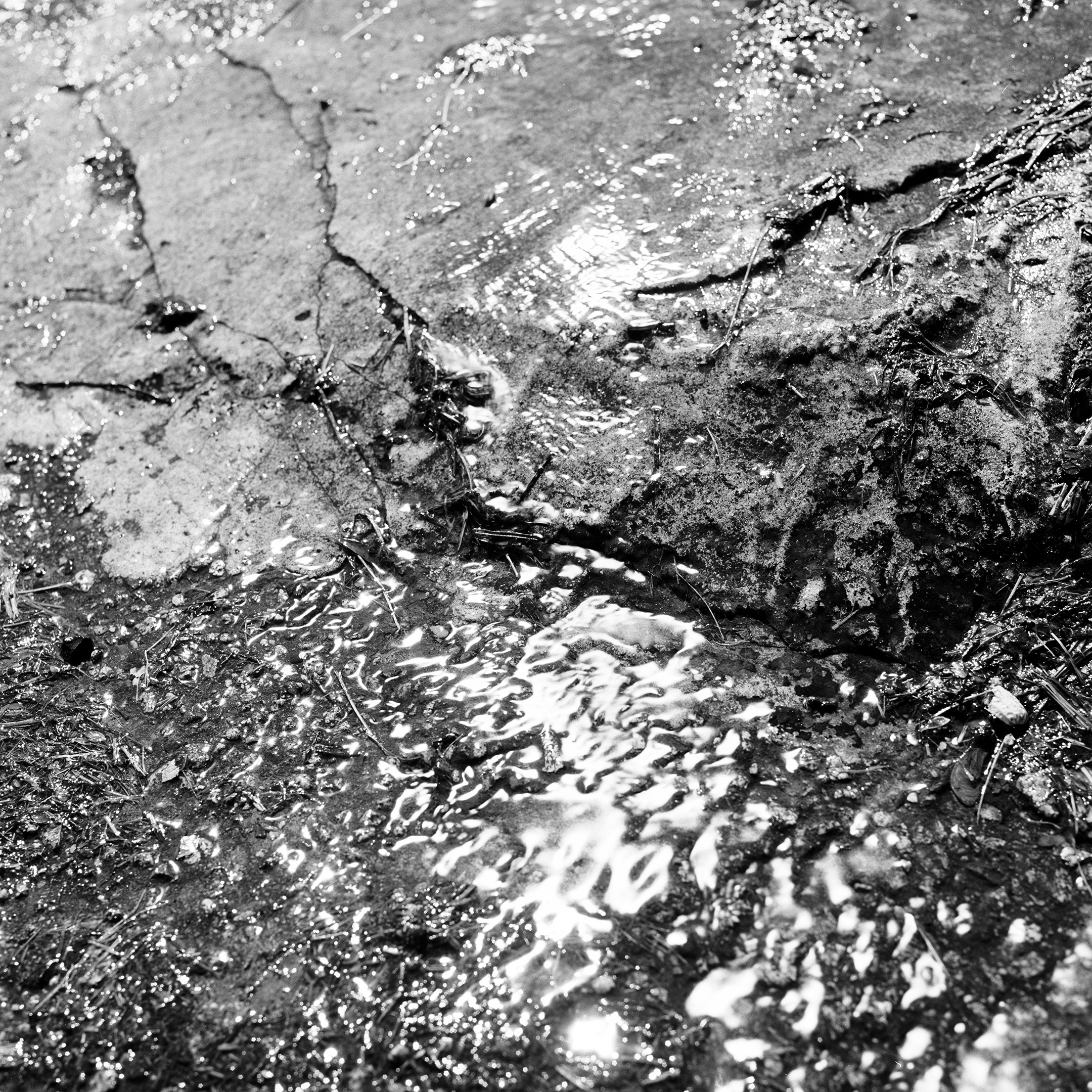 Back Alley River
