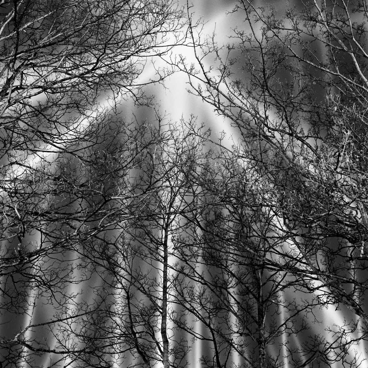 Beams